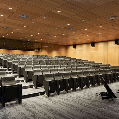 Micro-geperforeerde akoestische panelen geluidsabsorptie en decoratie plafond systeem